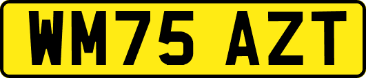 WM75AZT