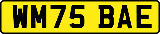 WM75BAE
