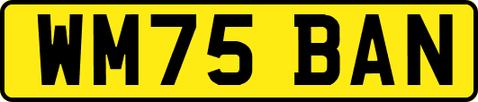 WM75BAN
