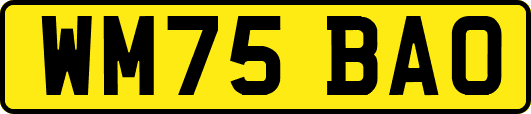 WM75BAO