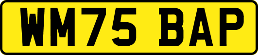 WM75BAP