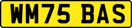 WM75BAS