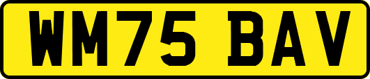 WM75BAV