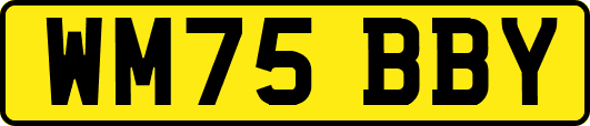 WM75BBY
