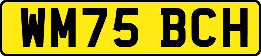 WM75BCH