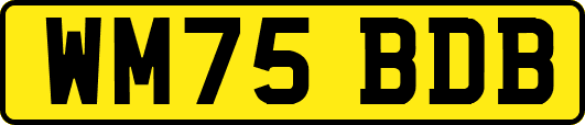 WM75BDB