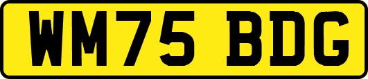 WM75BDG