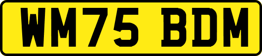WM75BDM