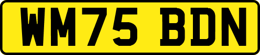 WM75BDN