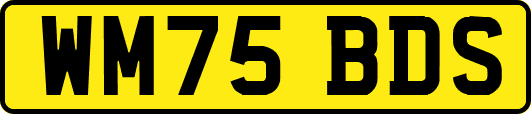 WM75BDS