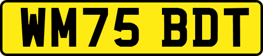 WM75BDT