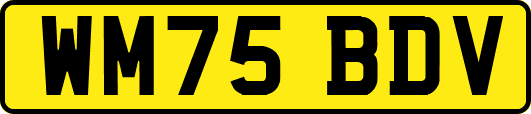 WM75BDV