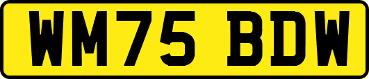 WM75BDW