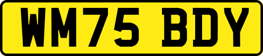 WM75BDY
