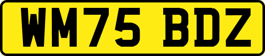 WM75BDZ