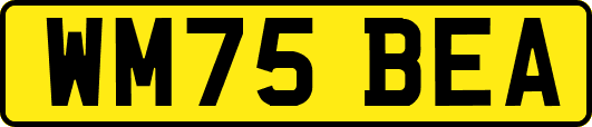 WM75BEA