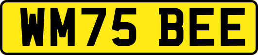 WM75BEE