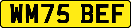 WM75BEF
