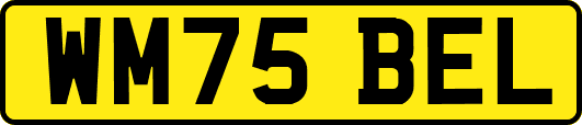 WM75BEL