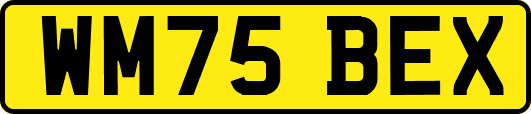 WM75BEX