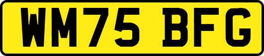 WM75BFG