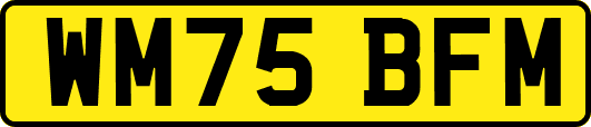 WM75BFM
