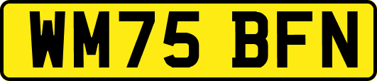 WM75BFN