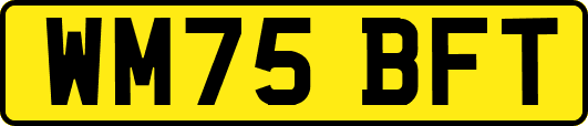 WM75BFT