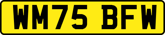 WM75BFW