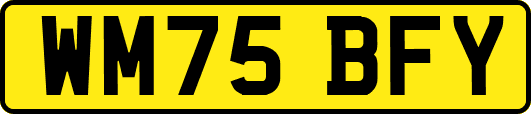 WM75BFY