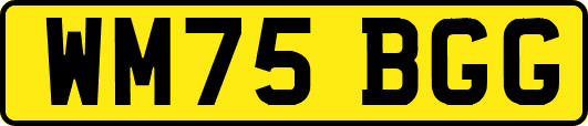 WM75BGG