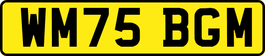 WM75BGM