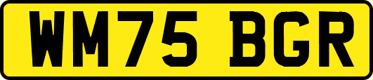 WM75BGR
