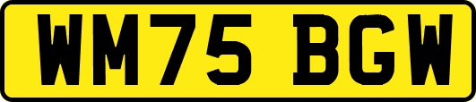 WM75BGW