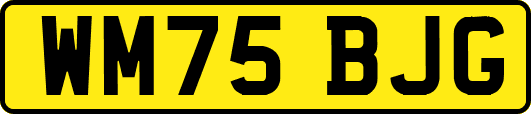 WM75BJG