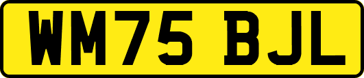 WM75BJL