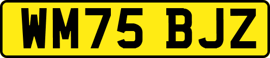 WM75BJZ