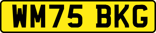 WM75BKG