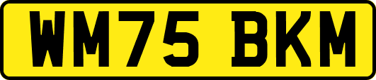 WM75BKM