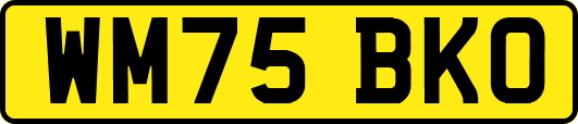WM75BKO