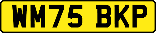 WM75BKP