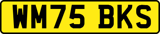WM75BKS