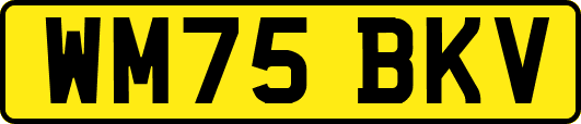 WM75BKV
