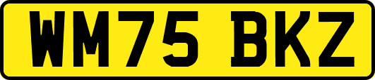 WM75BKZ