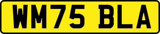 WM75BLA