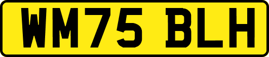 WM75BLH