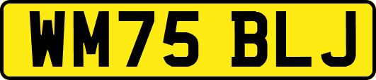 WM75BLJ