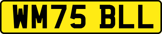 WM75BLL
