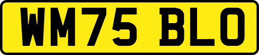 WM75BLO