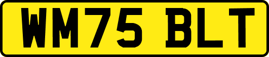 WM75BLT